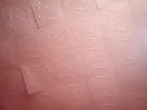 Theindian_Barbie – webcam model profile photo Image 3