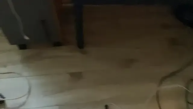 demieliss – webcam model profile photo Image 10