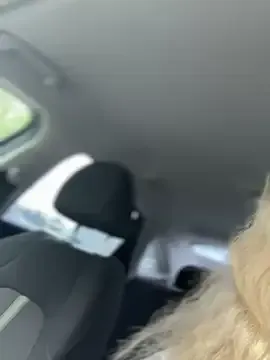 therealbeverlycious – webcam model profile photo Image 12