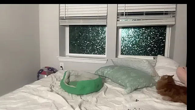 Bad_Girl_Sakura – webcam model profile photo Image 14