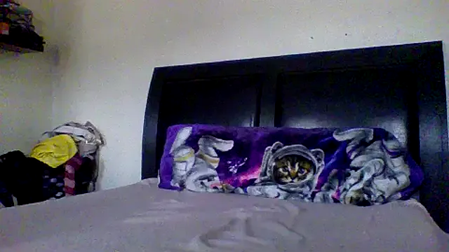 alexsisfaye – webcam model profile photo Image 14