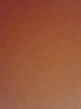 shine_chanel – webcam model profile photo Image 14