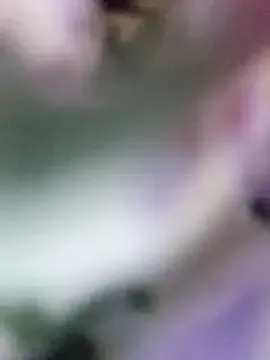 redrose520 – webcam model profile photo Image 9