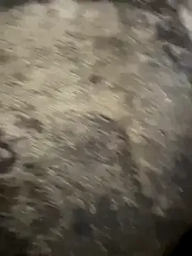 Sssonya – webcam model profile photo Image 5