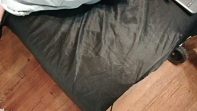 Bold-Cat – webcam model profile photo Image 18