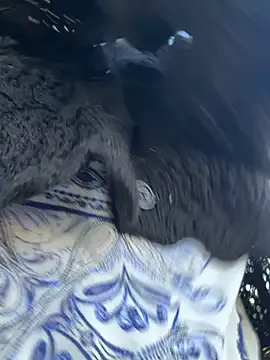 Alice_surprise – webcam model profile photo Image 17