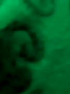 Shiya_janu – webcam model profile photo Image 2