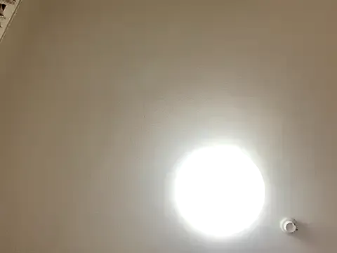 R_Roshni – webcam model profile photo Image 11