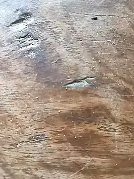 Sonam_pandeyji – webcam model profile photo