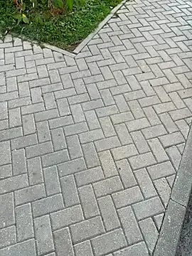 Lovelyy-couple – webcam model profile photo Image 18