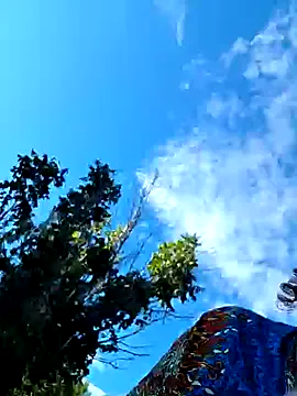 dirtypub – webcam model profile photo Image 17