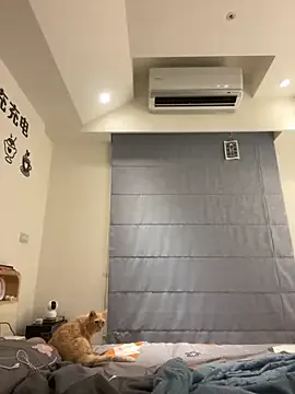 tw_feibaby profile photo