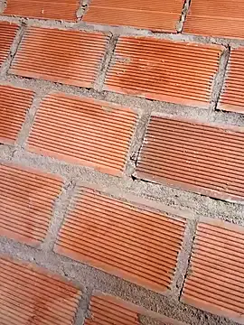 little_shadow – webcam model profile photo Image 15