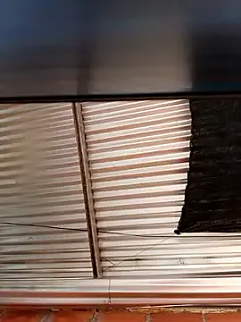 little_shadow – webcam model profile photo Image 19