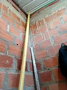 little_shadow – webcam model profile photo Image 5